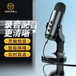 Gaming portable microphone